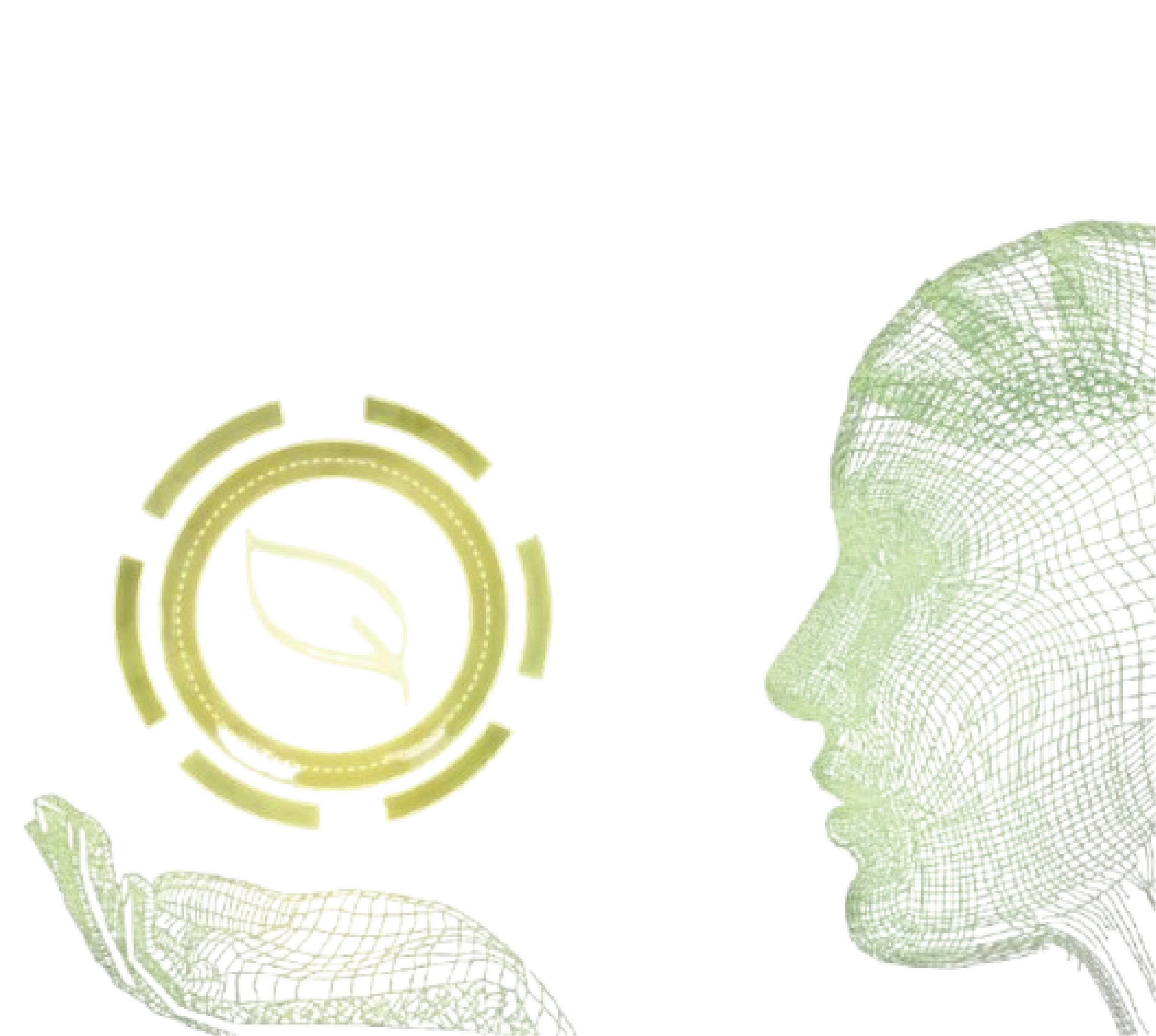 About Clover Solutions